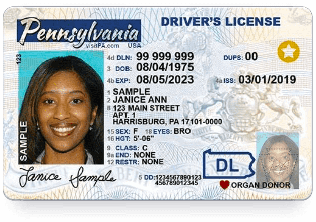 PA Drivers License