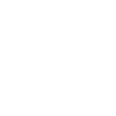 Controller-Roundtable_Icons_White-07