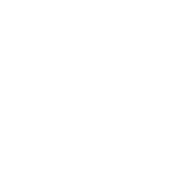 Controller-Roundtable_Icons_White-09