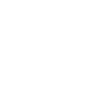 Controller-Roundtable_Icons_White-10